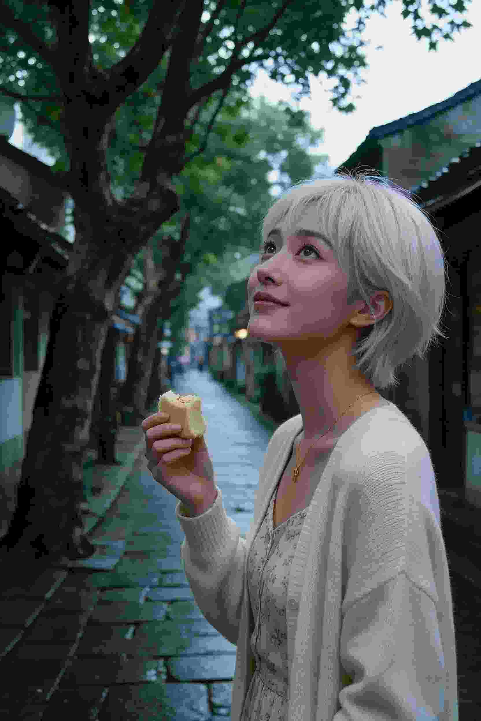 玫瑰的故事